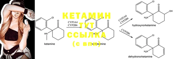 спайс Баксан