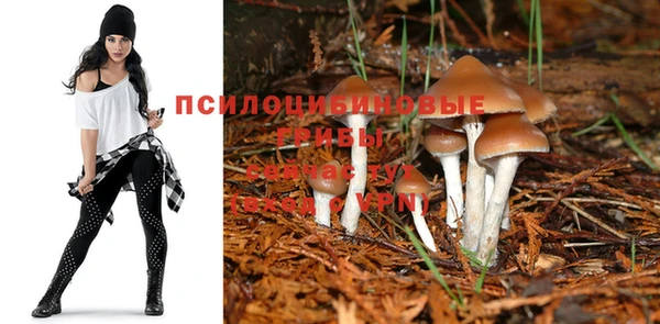 спайс Баксан