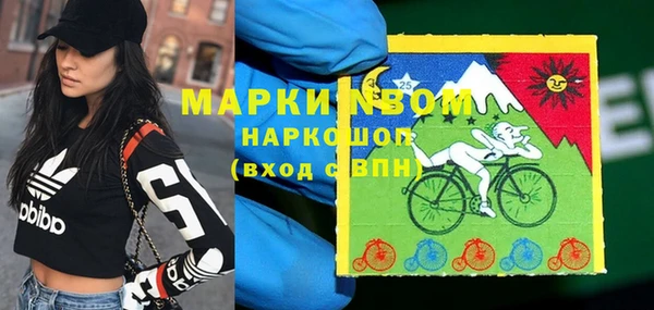 гидра Балахна