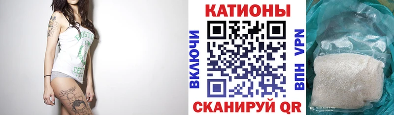 omg сайт  Балтийск  МЯУ-МЯУ мука 
